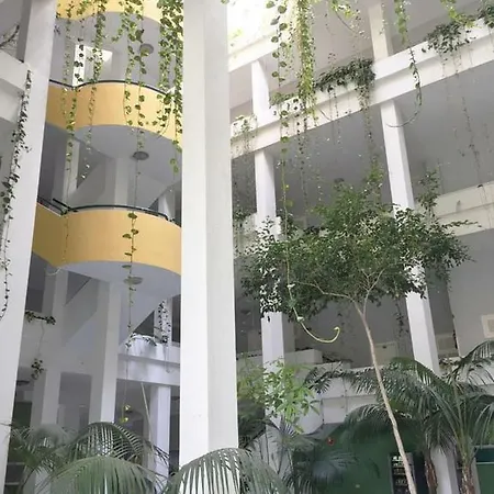 Playa Jardin Sea View Terrace By The Sea With Wifi Apartamento *